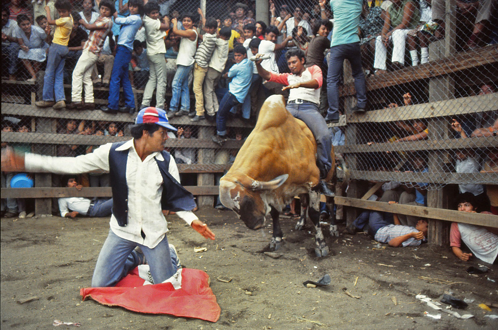 Macho bull fighting in Nicaragua